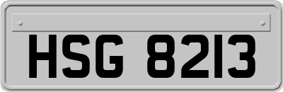 HSG8213
