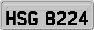 HSG8224