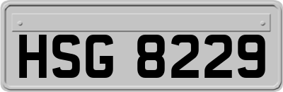 HSG8229