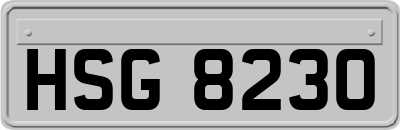 HSG8230