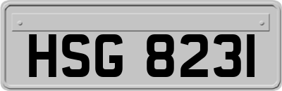 HSG8231