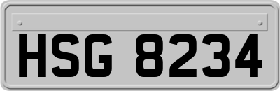 HSG8234