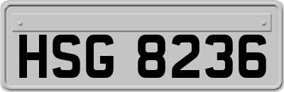HSG8236