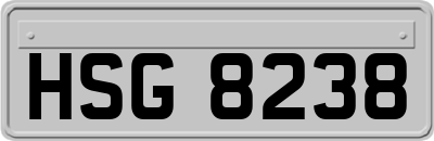 HSG8238