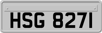 HSG8271