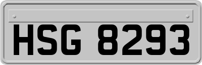 HSG8293