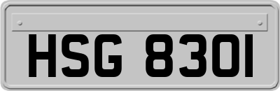 HSG8301