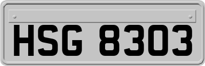 HSG8303