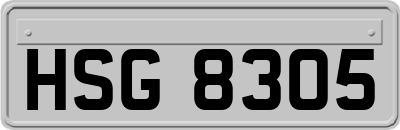 HSG8305