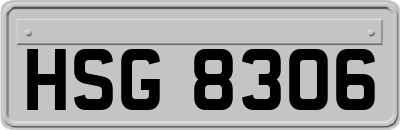 HSG8306