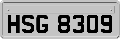 HSG8309