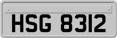 HSG8312