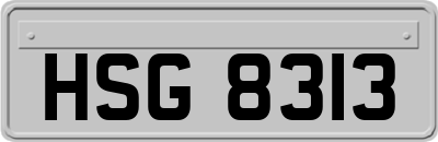 HSG8313