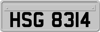 HSG8314