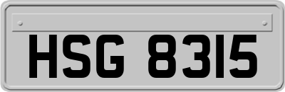 HSG8315