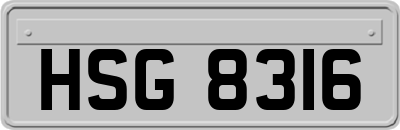 HSG8316
