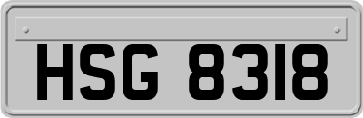 HSG8318