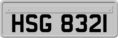 HSG8321