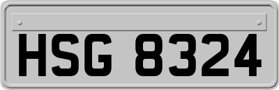 HSG8324