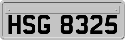 HSG8325