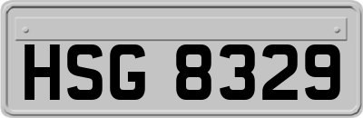 HSG8329