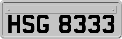 HSG8333