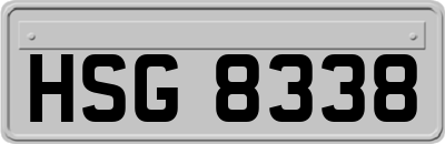 HSG8338