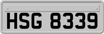HSG8339
