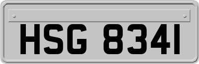 HSG8341