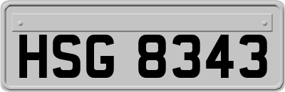 HSG8343