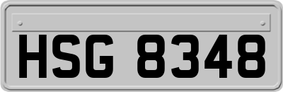 HSG8348