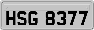 HSG8377