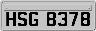 HSG8378