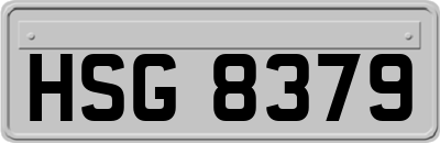 HSG8379