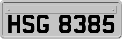 HSG8385