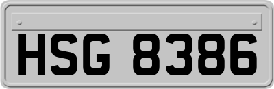 HSG8386