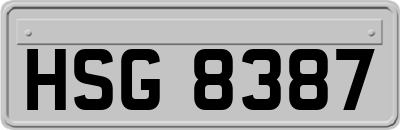HSG8387