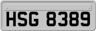 HSG8389
