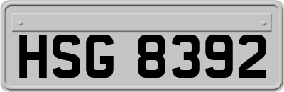 HSG8392