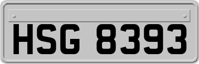 HSG8393