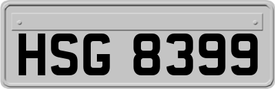 HSG8399