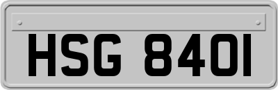 HSG8401