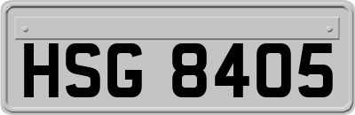 HSG8405