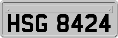 HSG8424
