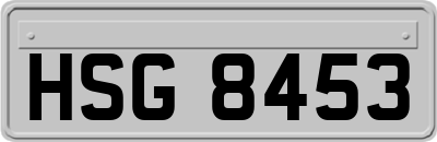 HSG8453