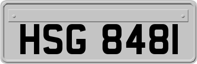 HSG8481