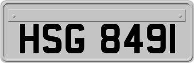 HSG8491