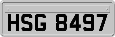 HSG8497