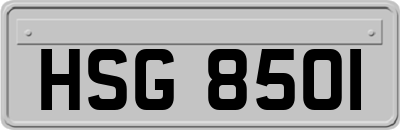 HSG8501