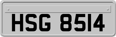 HSG8514